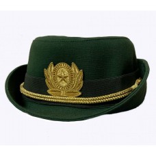 Шляпа офисная офицерский состав олива
